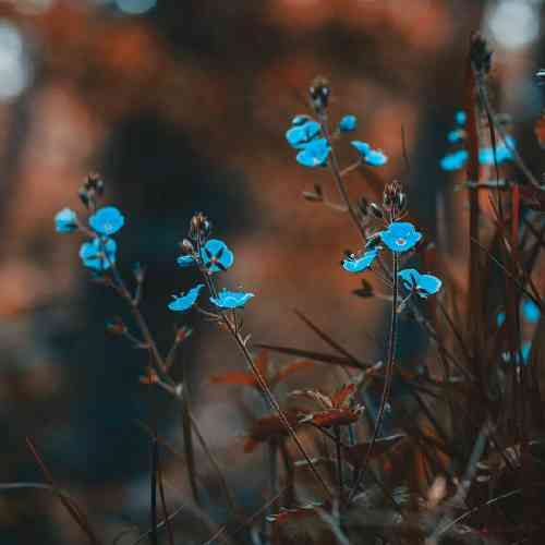  قسم به گل لبات من یه جنگ زدم بدتر ا خاک عراق